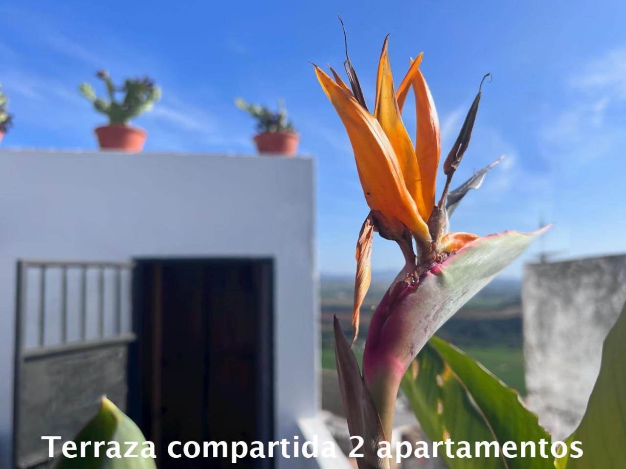 Appartement Casa Abades Arcos De La Frontera Extérieur photo
